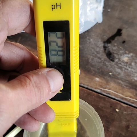 Big-Auto- #2 growlog timeline photo