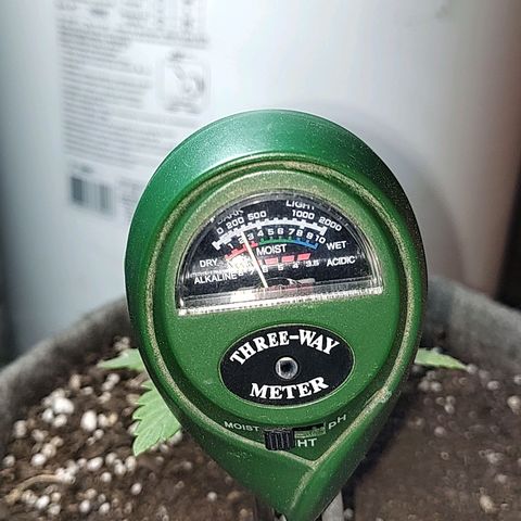 Foto de la cronología del growlog de Big-Auto- #1