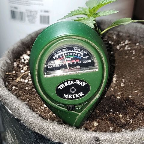 Big-Auto- #2 growlog timeline photo