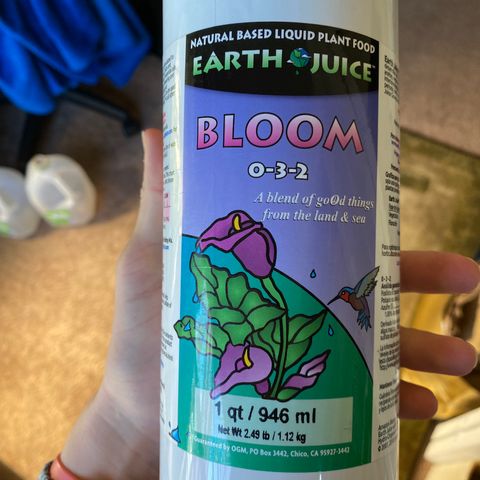 Cherry Death Star growlog photo: Bought this new Bloom juice and gave the minimum amount for the first time today. Need to cut back on other nutrients as we have some overlaps. These girls are getting big! 