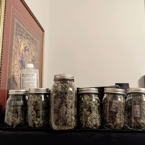 Cherry Death Star growlog timeline photo