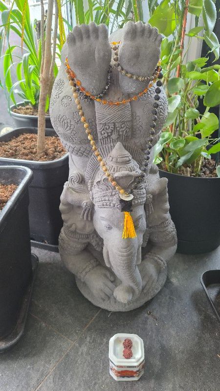 Avatar de Yogi