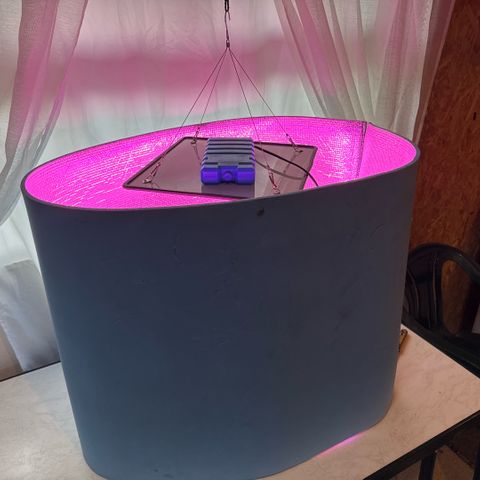 Moby Dick Auto growlog timeline photo
