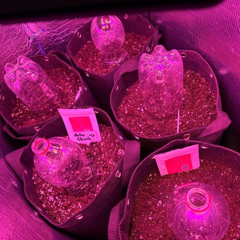 Moby Dick Auto growlog timeline photo