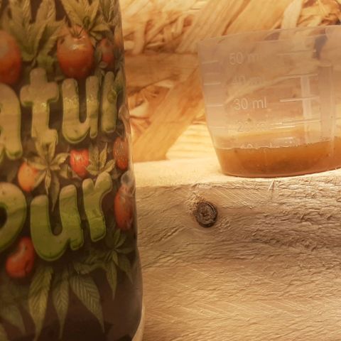 Mehrere Oreoz Pflanzen und Zyklen  growlog photo: Ich habe heute 10 ml des Düngers auf 2,5l Verabreicht.