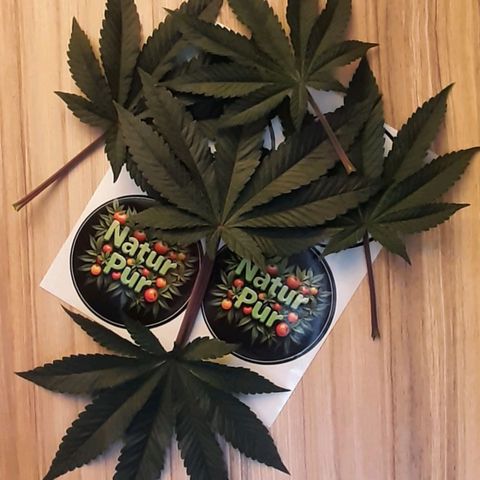 Mehrere Oreoz Pflanzen und Zyklen  growlog photo: Eigen hergestellter Dünger, mehr Infos des NaturPur Düngermittel auf Facebook: https://www.facebook.com/profile.php?id=61581908257274