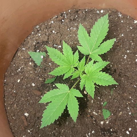 Think Tank growlog photo: Und weiter aufgehäuft 