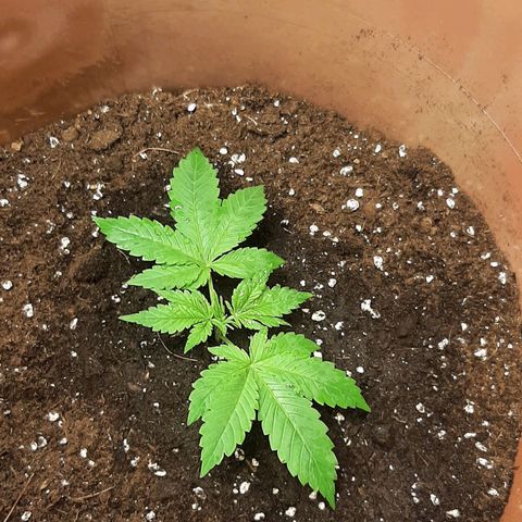 Think Tank growlog photo: Und wieder aufgehäuft