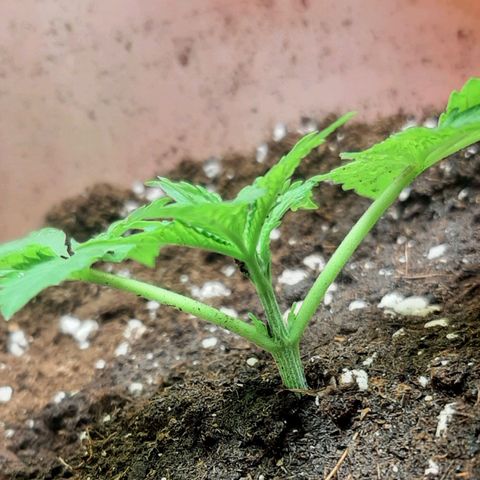 Think Tank growlog photo: Und wieder aufgehäuft