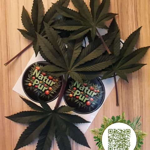 Think Tank growlog photo: Suche: NaturPur Düngermittel auf Facebook und Teste den Dünger selbst !!!
0,5l = Nur 7,69€ Versandkosten.
1,5l = 10€ zzgl. 7,69€ (17,69€)

Schreibt mich privat auf Facebook an !