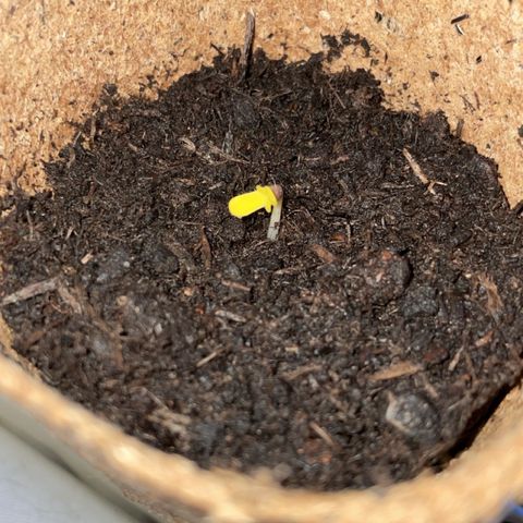 Rosie growlog photo: 06:00 Uhr