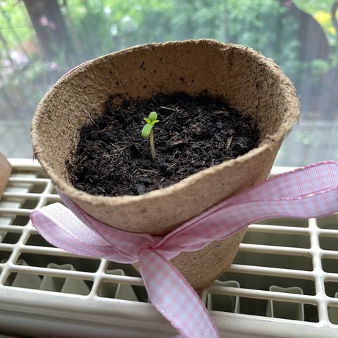 Rosie growlog photo: 15:30