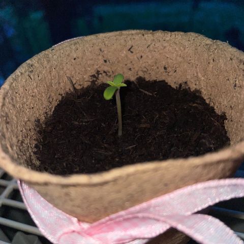 Rosie growlog photo: 06:00 Uhr