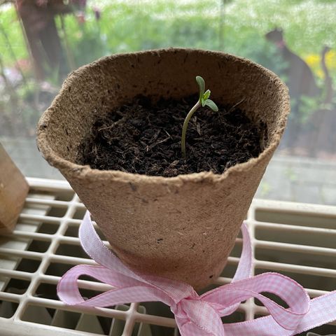 Rosie growlog photo: 15:30 Uhr