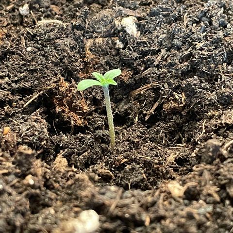 Rosie growlog photo: 19:00 Uhr