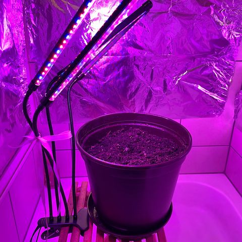 Rosie growlog photo: Neuer Topf