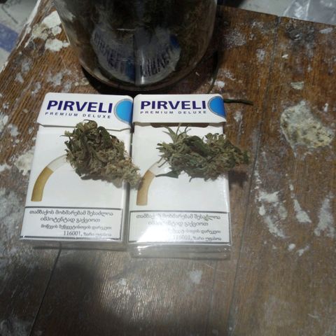 Gorila Zkittlez Auto Barney's Farm  growlog timeline photo