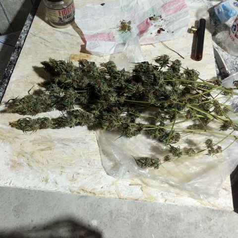 Amirani Auto - Caucasian  growlog timeline photo