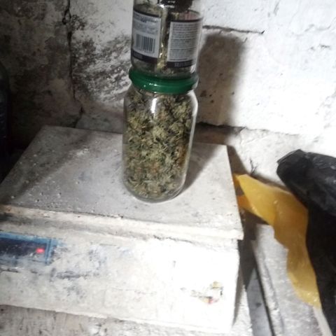 Amirani Auto - Caucasian  growlog timeline photo