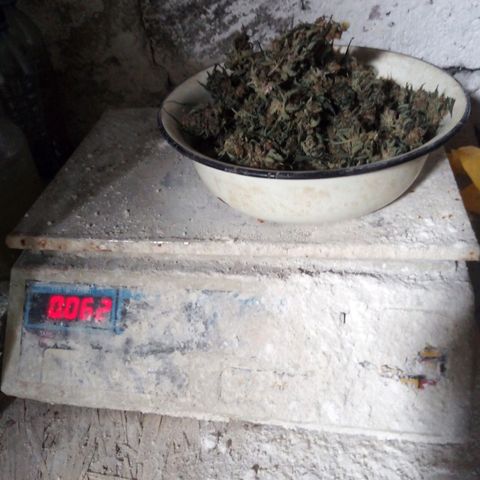 Amirani Auto - Caucasian  growlog timeline photo