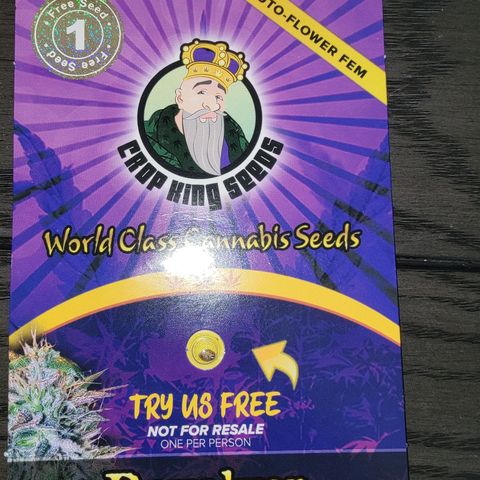 Revolver growlog photo: Group of pictures from throughout grow