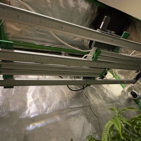 Scrogbomb #1 growlog photo: Start 12/12 Blüte
Installation Ad-Lights IR + DeepRed