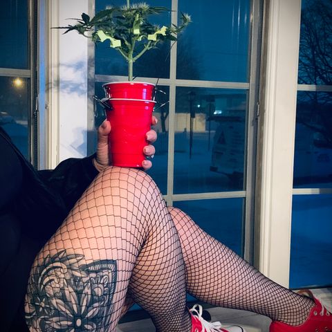 Solo Cup - Mango Smile growlog timeline photo