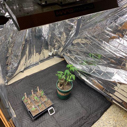 Ayos 1 growlog timeline photo