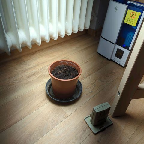 Toby growlog timeline photo