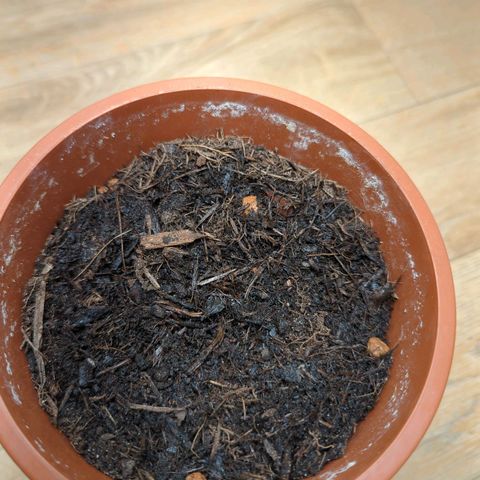 Toby growlog timeline photo