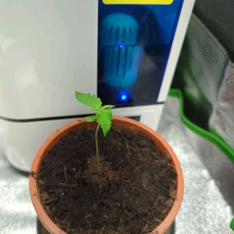 Toby growlog timeline photo