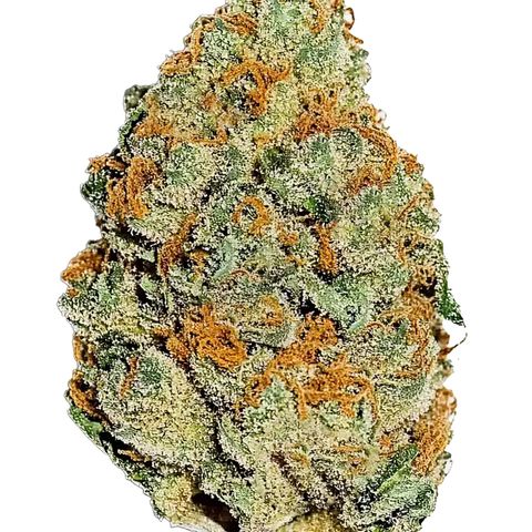 Lemon Mandarin  growlog timeline photo