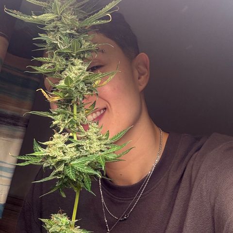 Skunk auto growlog timeline photo