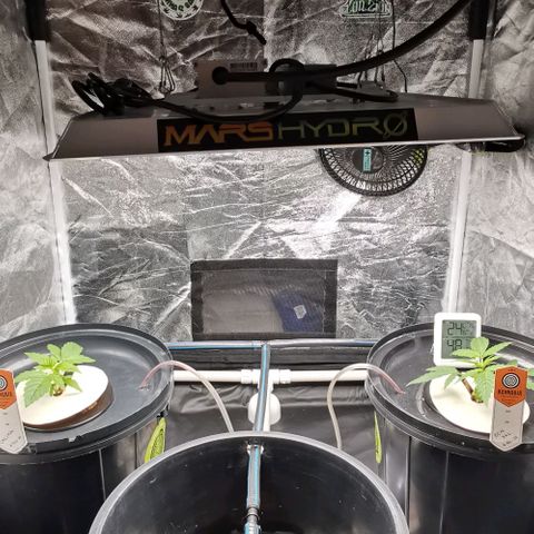 Calima growlog photo: Seguimiento 