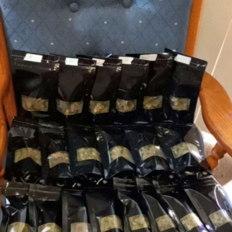 GSCX #1 growlog timeline photo