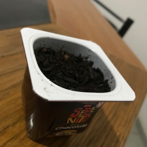 Critical Mass growlog timeline photo