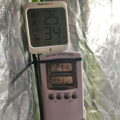 BBC #2 growlog photo: Start of drying