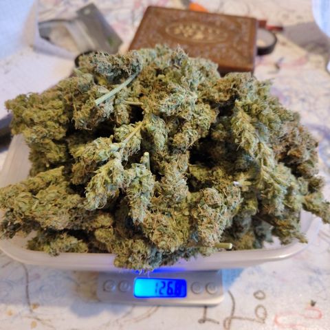 BBC #3 growlog photo: A grade
