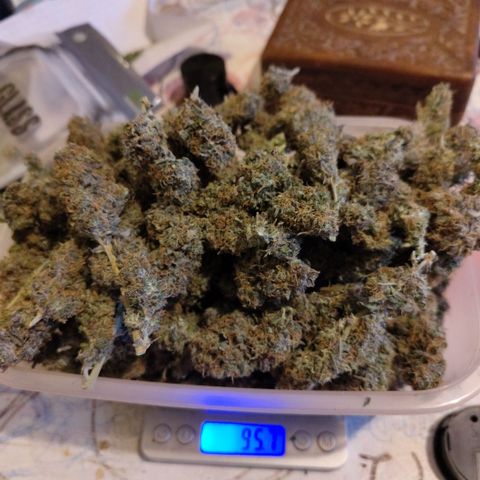 BBC #2 growlog photo: A grade