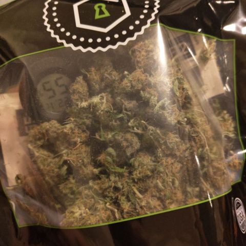 BBC #2 growlog photo: B