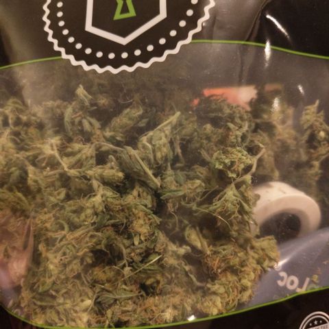 BBC #3 growlog photo: B