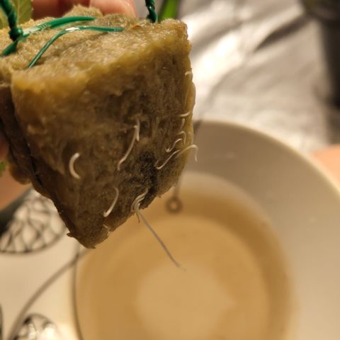 GorillaZ #2.7 growlog timeline photo