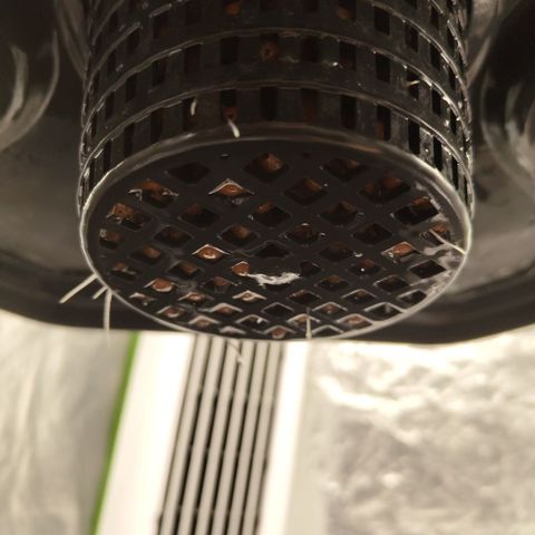 CBD Crack growlog timeline photo