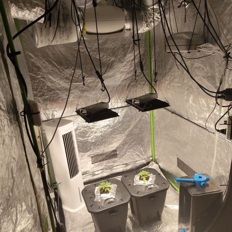 CBD Crack growlog photo: Setup with new space booster