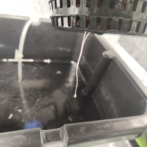 CBD Crack #2 growlog timeline photo