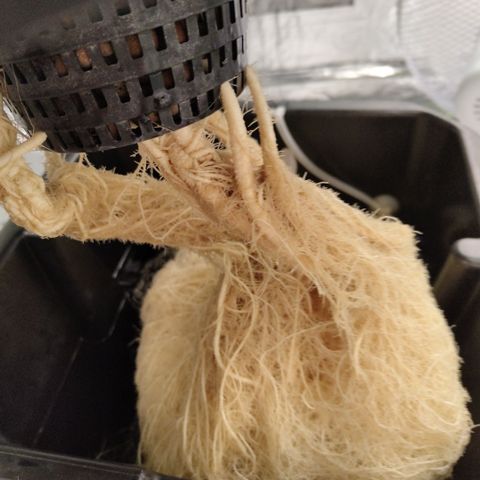 Mysterio #1 [monster] growlog timeline photo
