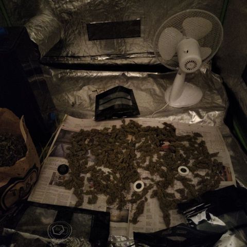 Mysterio #1 [monster] growlog timeline photo