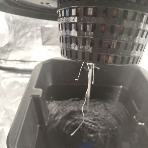 Mysteria growlog timeline photo