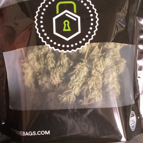 Special Queen #1 growlog photo: 126gr Special Queen #1 feminisiert (topping/scrognetz)