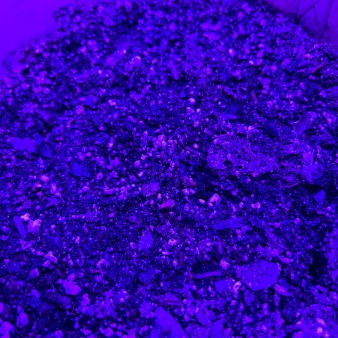 Fat Banana Automatic growlog timeline photo